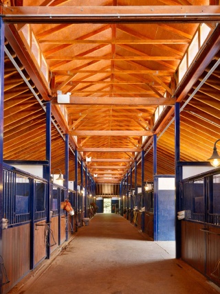 casa forma billingbear polo club stables